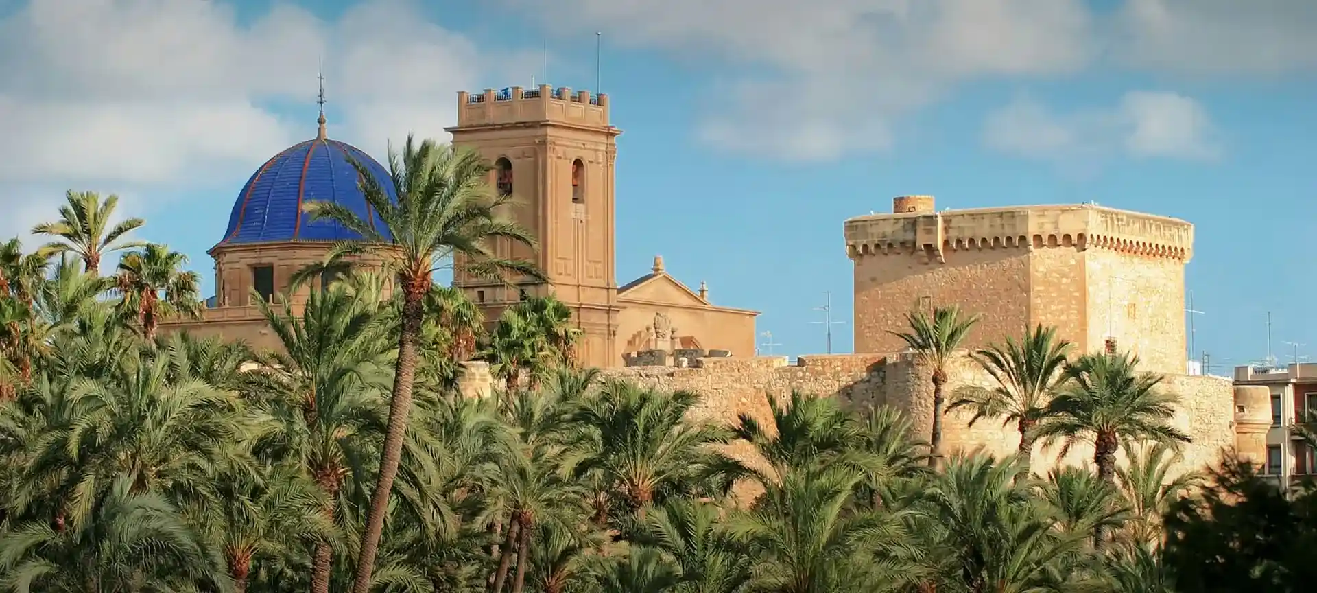 Panorámica de Elche - Basílica de Santa María y palmeral